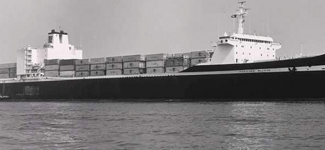 История контейнера. Maersk Lines.